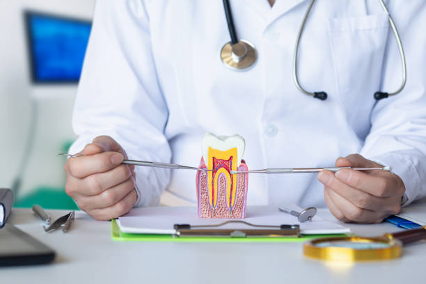 Best Emergency Dental Extractions in Old Brookville, NY